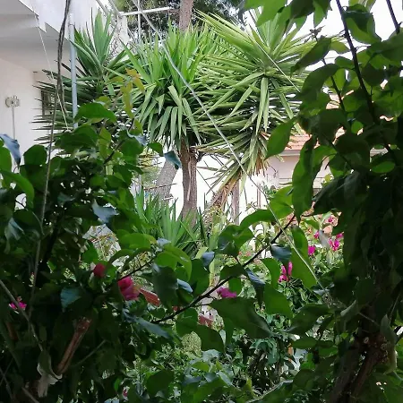 Misini Dvori Apartment