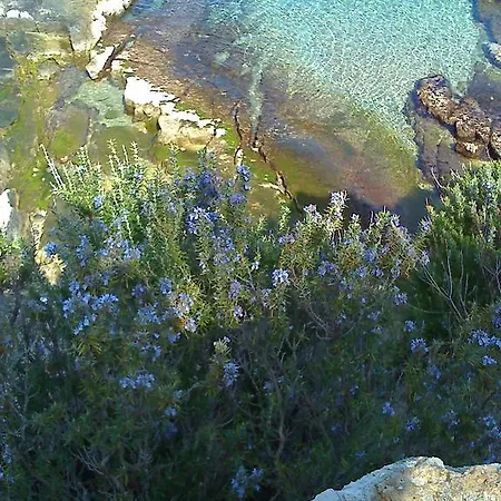 Misini Dvori Apartmán Stomorska