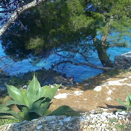 Misini Dvori Apartmán