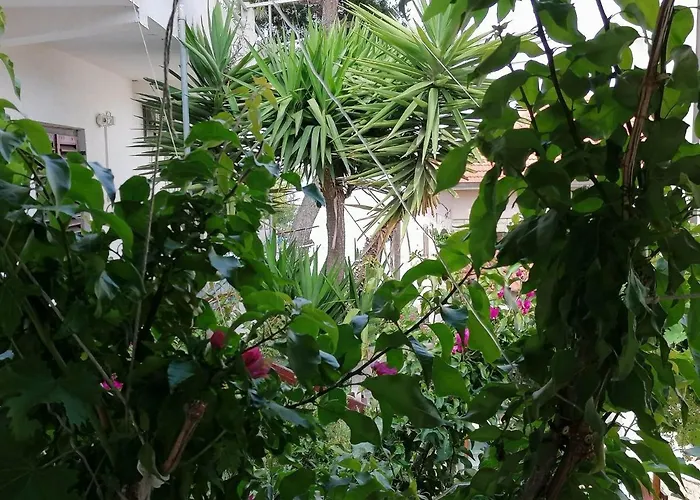 Misini Dvori Apartament