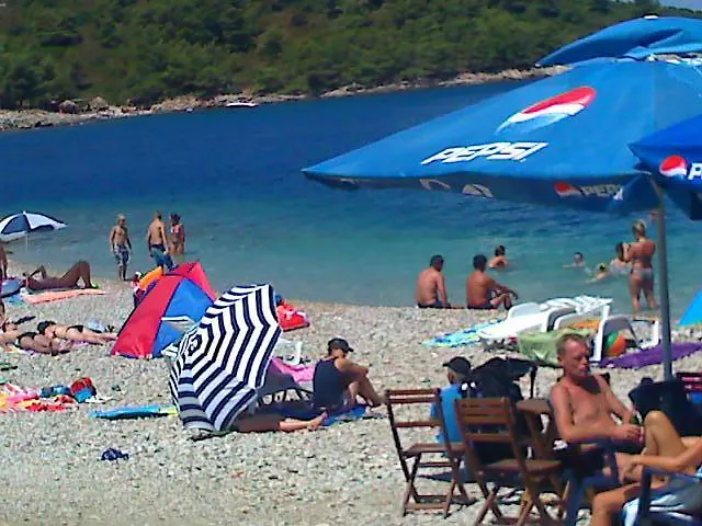 Misini Dvori
